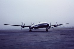 D-ALUB