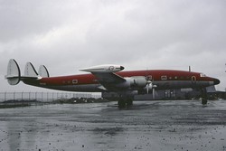 N833D